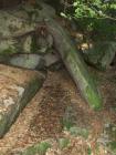 thumbs/040716_Menhiry 063.jpg